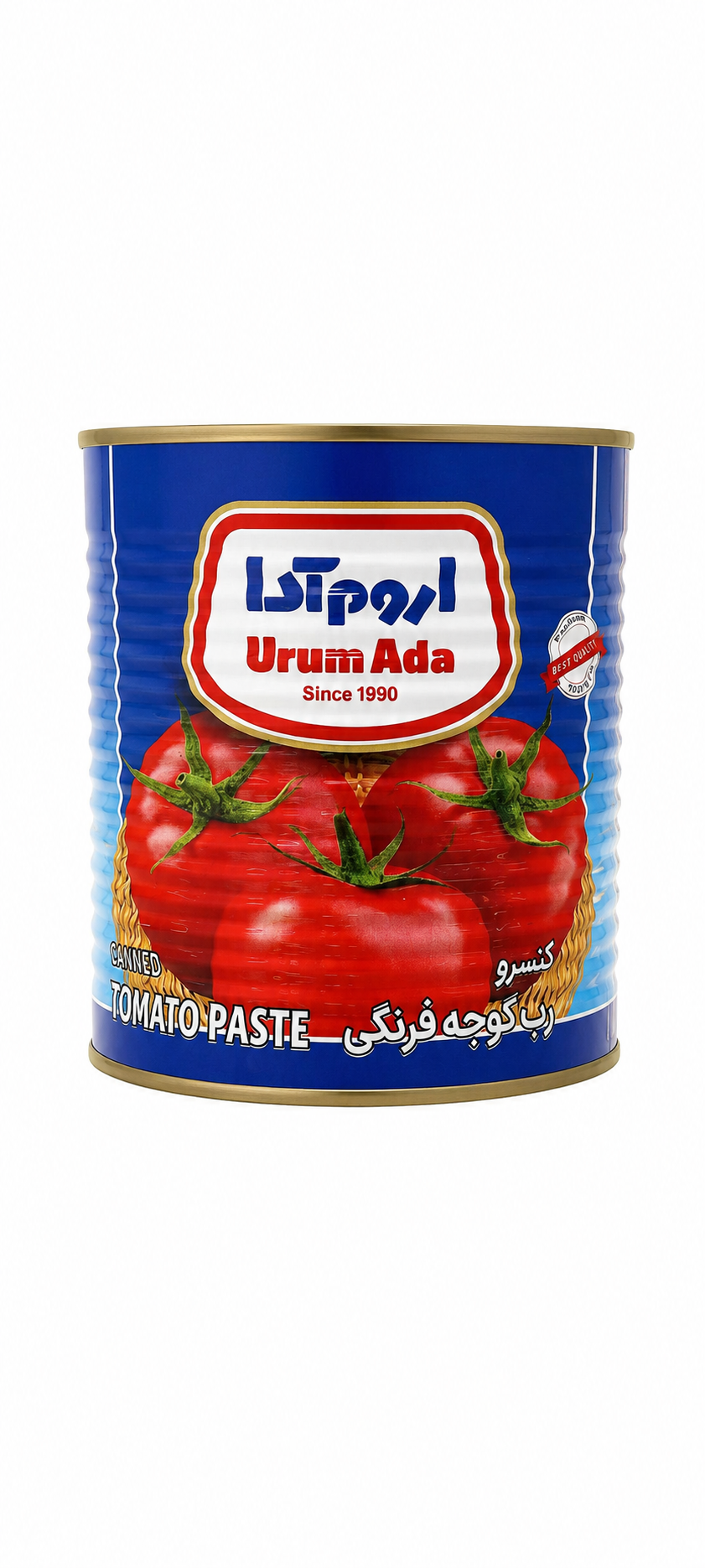 کنسرو رب گوجه‌فرنگی اروم آدا ۸۰۰ گرم قوطی